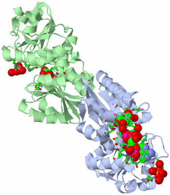 Image Asym./Biol. Unit - sites