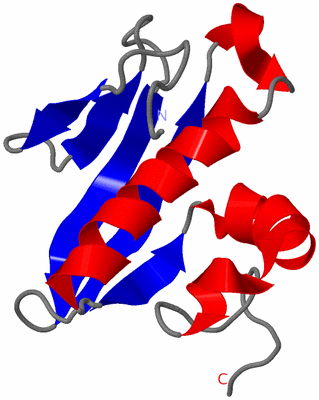 Image NMR Structure - model 1