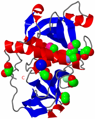 Image Asymmetric Unit