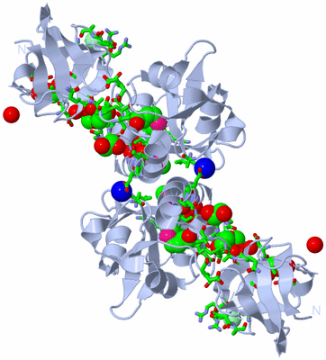 Image Biol. Unit 1 - sites