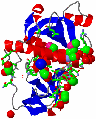 Image Asym. Unit - sites
