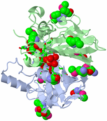 Image Biol. Unit 1 - sites