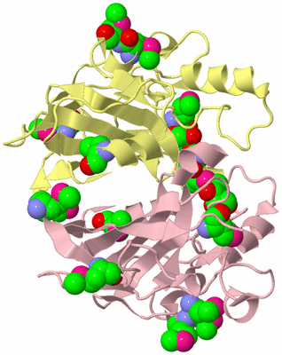 Image Biological Unit 2