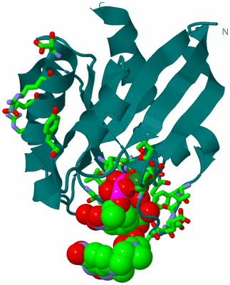 Image Biol. Unit 1 - sites