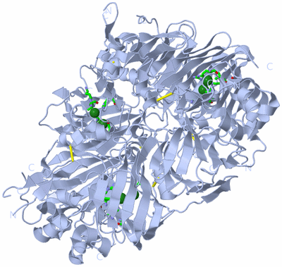 Image Biol. Unit 1 - sites