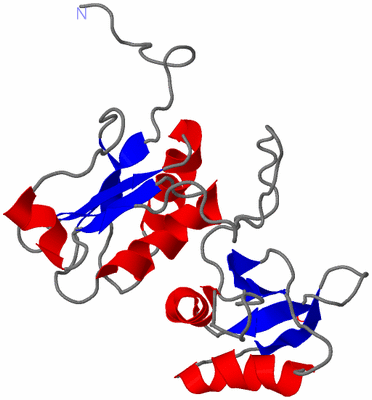 Image NMR Structure - model 1