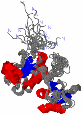 Image NMR Structure - all models