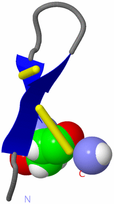 Image NMR Structure - model 1