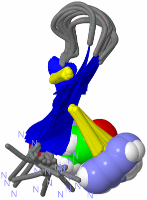 Image NMR Structure - all models