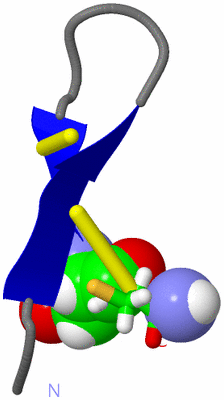 Image NMR Structure - model 1, sites