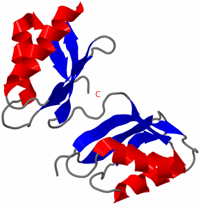 Image NMR Structure - model 1