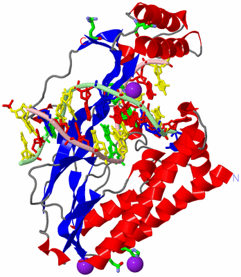 Image Asym./Biol. Unit - sites