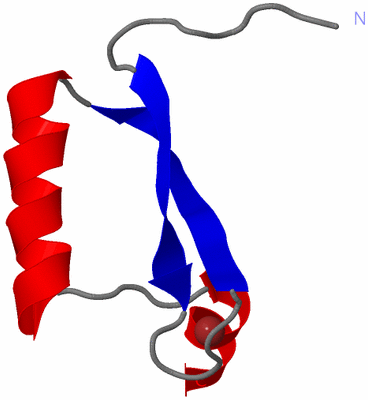 Image NMR Structure - model 1