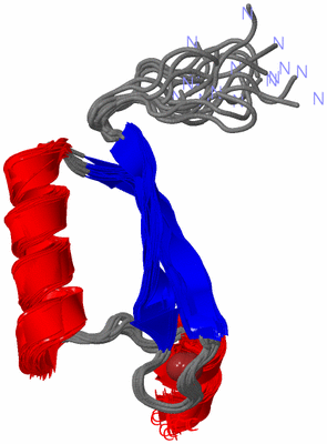 Image NMR Structure - all models