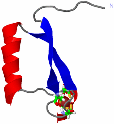 Image NMR Structure - model 1, sites