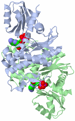 Image Asym./Biol. Unit