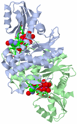 Image Asym./Biol. Unit - sites