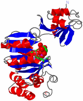 Image Asym. Unit - sites