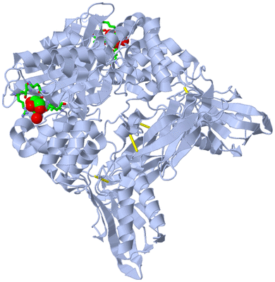 Image Biol. Unit 1 - sites