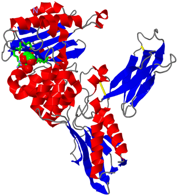 Image Asym. Unit - sites