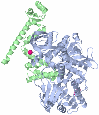 Image Biological Unit 1