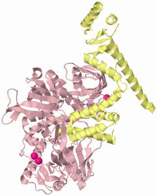 Image Biological Unit 2