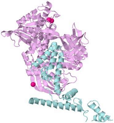 Image Biological Unit 3