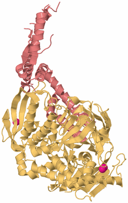 Image Biological Unit 4