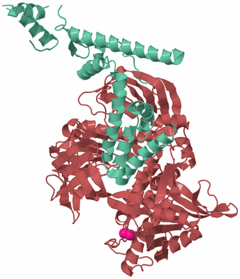 Image Biological Unit 6