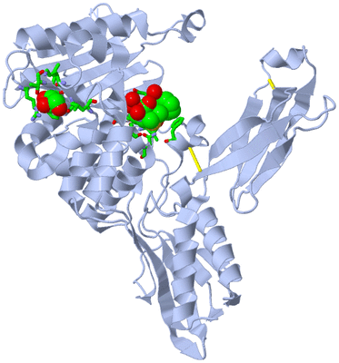 Image Biol. Unit 1 - sites