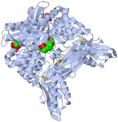 Image Biological Unit 2