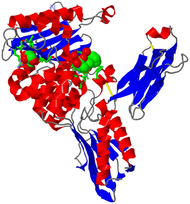 Image Asym. Unit - sites