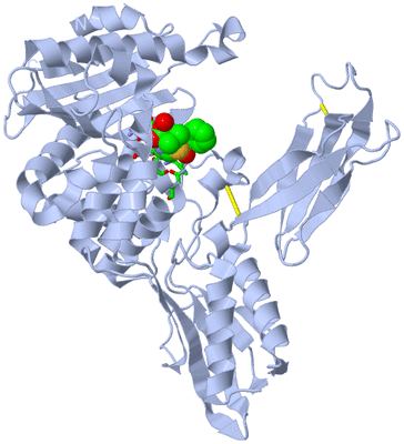 Image Biol. Unit 1 - sites