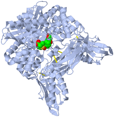 Image Biological Unit 2