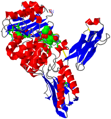 Image Asym./Biol. Unit - sites