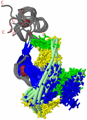 Image NMR Structure - all models