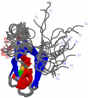 Image NMR Structure - all models