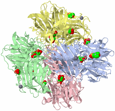 Image Asym./Biol. Unit