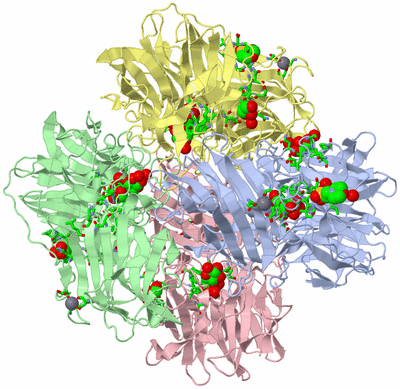 Image Asym./Biol. Unit - sites