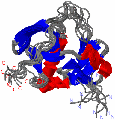 Image NMR Structure - all models