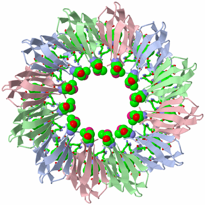 Image Biol. Unit 1 - sites