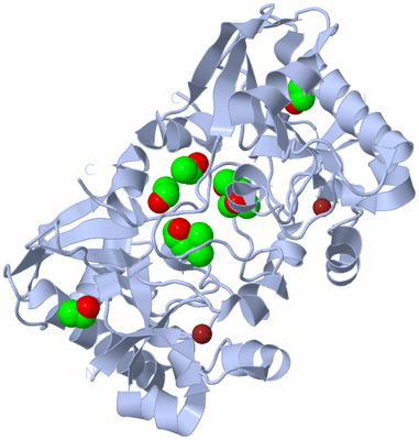 Image Biological Unit 1