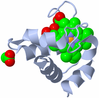 Image Biological Unit 1