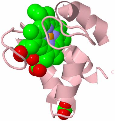 Image Biological Unit 2