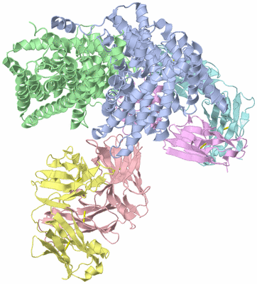 Image Asym./Biol. Unit