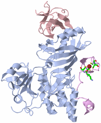 Image Biol. Unit 1 - sites