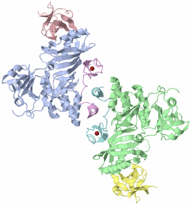 Image Biological Unit 3