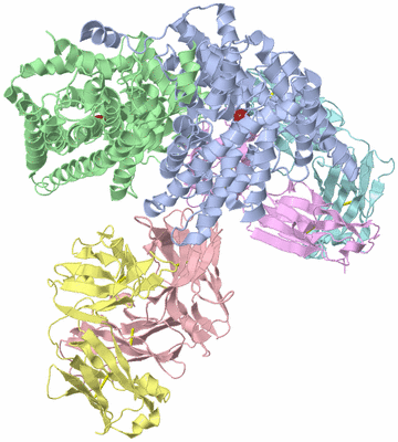 Image Asym./Biol. Unit