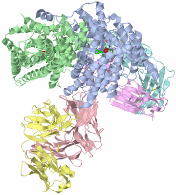Image Asym./Biol. Unit - sites