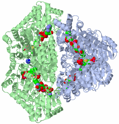 Image Biological Unit 1